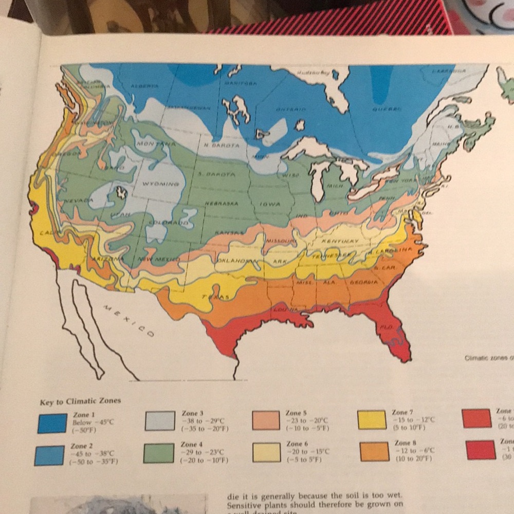 Garden Book - Picture 3 of 4